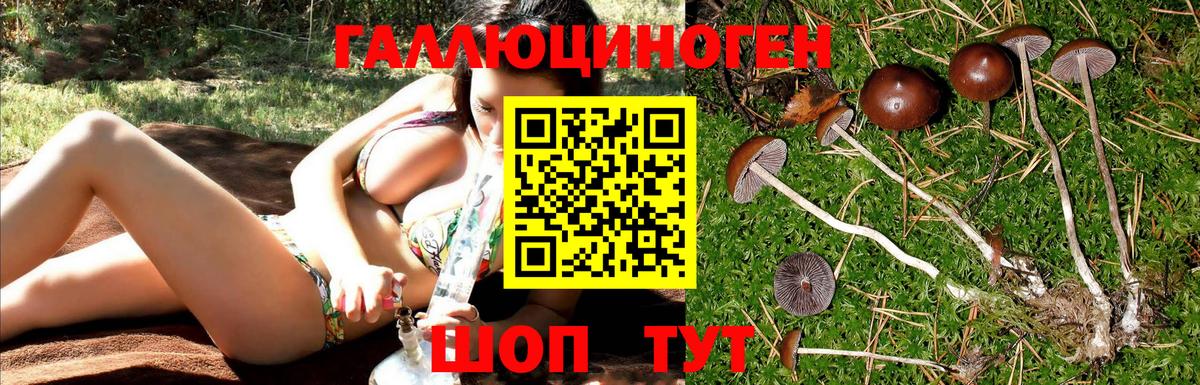 Псилоцибиновые грибы мицелий  Галлюциногенные грибы MAGIC MUSHROOMS  Вход с VPN  магазин  наркотиков  Новодвинск 