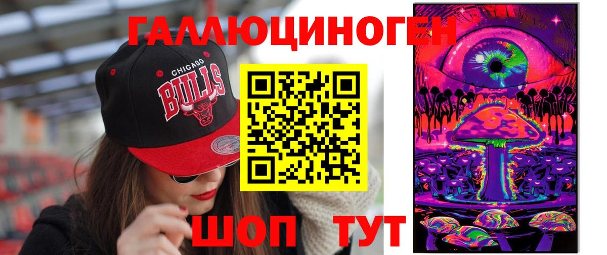 Псилоцибиновые грибы Psilocybe Новодвинск
